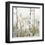 Soft Birch Forest II-Allison Pearce-Framed Art Print