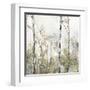 Soft Birch Forest II-Allison Pearce-Framed Art Print