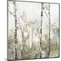 Soft Birch Forest II-Allison Pearce-Mounted Art Print