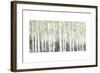 Soft Birches Charcoal-James Wiens-Framed Art Print