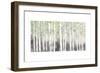 Soft Birches Charcoal-James Wiens-Framed Premium Giclee Print