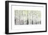 Soft Birches Charcoal-James Wiens-Framed Premium Giclee Print