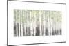 Soft Birches Charcoal-James Wiens-Mounted Premium Giclee Print