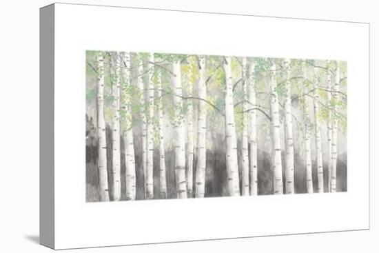 Soft Birches Charcoal-James Wiens-Stretched Canvas