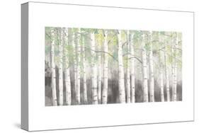 Soft Birches Charcoal-James Wiens-Stretched Canvas