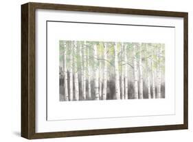 Soft Birches Charcoal-James Wiens-Framed Art Print