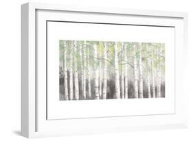 Soft Birches Charcoal-James Wiens-Framed Art Print