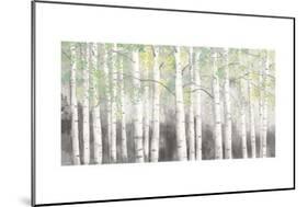 Soft Birches Charcoal-James Wiens-Mounted Art Print