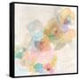 Soft Bloom II-Jodi Fuchs-Framed Stretched Canvas