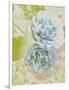 Soft Blooms - Floret-Collezione Botanica-Framed Giclee Print
