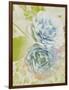Soft Blooms - Floret-Collezione Botanica-Framed Giclee Print