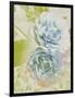 Soft Blooms - Floret-Collezione Botanica-Framed Giclee Print