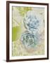 Soft Blooms - Floret-Collezione Botanica-Framed Giclee Print