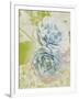 Soft Blooms - Floret-Collezione Botanica-Framed Giclee Print