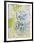 Soft Blooms - Floret-Collezione Botanica-Framed Giclee Print