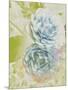 Soft Blooms - Floret-Collezione Botanica-Mounted Giclee Print