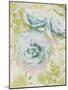 Soft Blooms - Flourish-Collezione Botanica-Mounted Giclee Print