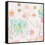 Soft Blooms I-Beverly Dyer-Framed Stretched Canvas