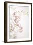 Soft Blooms IV-Karyn Millet-Framed Photographic Print