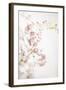 Soft Blooms IV-Karyn Millet-Framed Photographic Print