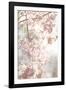 Soft Blooms V-Karyn Millet-Framed Photographic Print