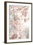 Soft Blooms V-Karyn Millet-Framed Photographic Print