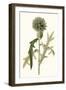 Soft Blue Botanicals VI-Curtis-Framed Art Print