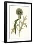 Soft Blue Botanicals VI-Curtis-Framed Art Print