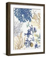 Soft Blue Corals I-Aimee Wilson-Framed Art Print