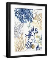 Soft Blue Corals I-Aimee Wilson-Framed Art Print