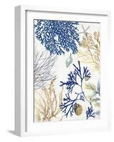 Soft Blue Corals I-Aimee Wilson-Framed Art Print