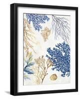 Soft Blue Corals II-Aimee Wilson-Framed Art Print