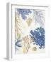 Soft Blue Corals II-Aimee Wilson-Framed Art Print