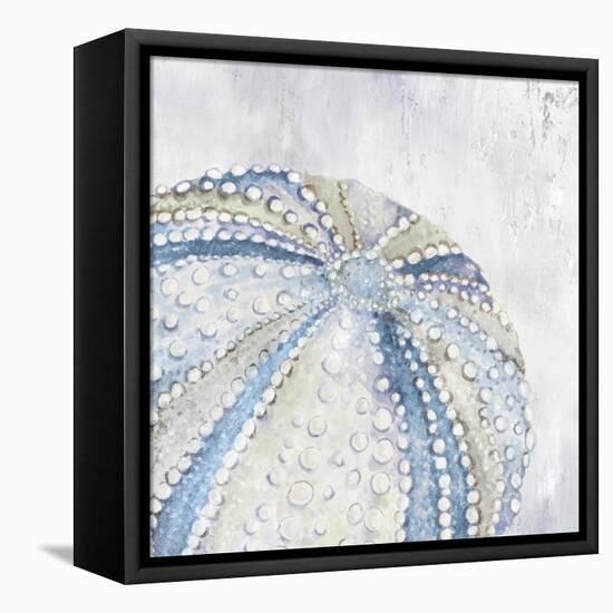 Soft Blue Sea Urchin-Eli Jones-Framed Stretched Canvas