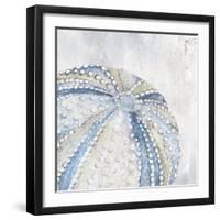 Soft Blue Sea Urchin-Eli Jones-Framed Art Print