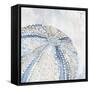 Soft Blue Sea Urchin-Eli Jones-Framed Stretched Canvas