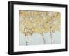 Soft Breeze II-Graham Reynolds-Framed Art Print