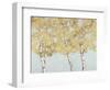 Soft Breeze II-Graham Reynolds-Framed Art Print