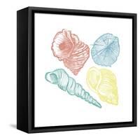 Soft Color Shells Mate-Jace Grey-Framed Stretched Canvas