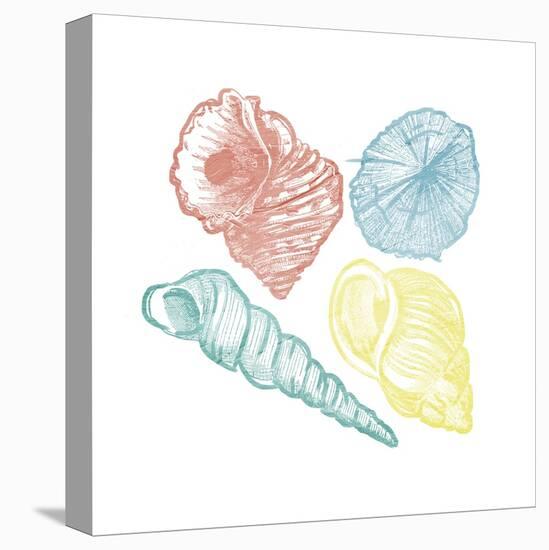 Soft Color Shells Mate-Jace Grey-Stretched Canvas
