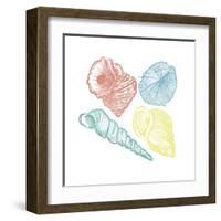 Soft Color Shells Mate-Jace Grey-Framed Art Print