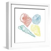 Soft Color Shells Mate-Jace Grey-Framed Art Print