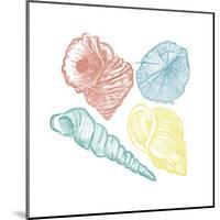 Soft Color Shells Mate-Jace Grey-Mounted Art Print