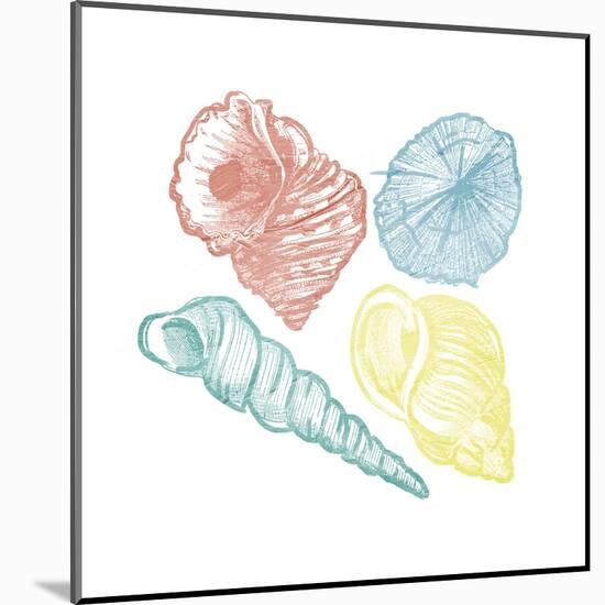 Soft Color Shells Mate-Jace Grey-Mounted Art Print