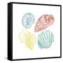 Soft Color Shells Mate-Jace Grey-Framed Stretched Canvas