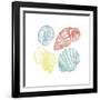 Soft Color Shells Mate-Jace Grey-Framed Art Print