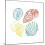 Soft Color Shells Mate-Jace Grey-Mounted Art Print