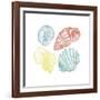 Soft Color Shells Mate-Jace Grey-Framed Art Print