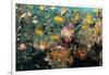 Soft Coral and Reef Fish, Aliwal Shoal, KwaZulu-Natal, South Africa-Pete Oxford-Framed Photographic Print
