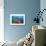 Soft Corals and Glassfish-Jones-Shimlock-Giclee Print displayed on a wall